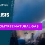 ETC WisdomTree Natural Gas 3x Daily Short