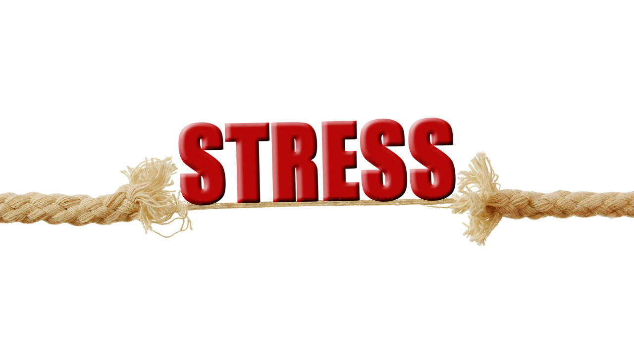 El impacto del estrés en tus inversiones: ¿Amigo o Enemigo?